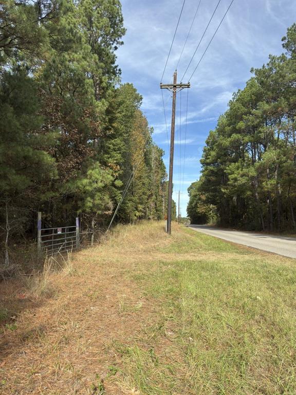Tbd-a Boggy Road Property Photo 13