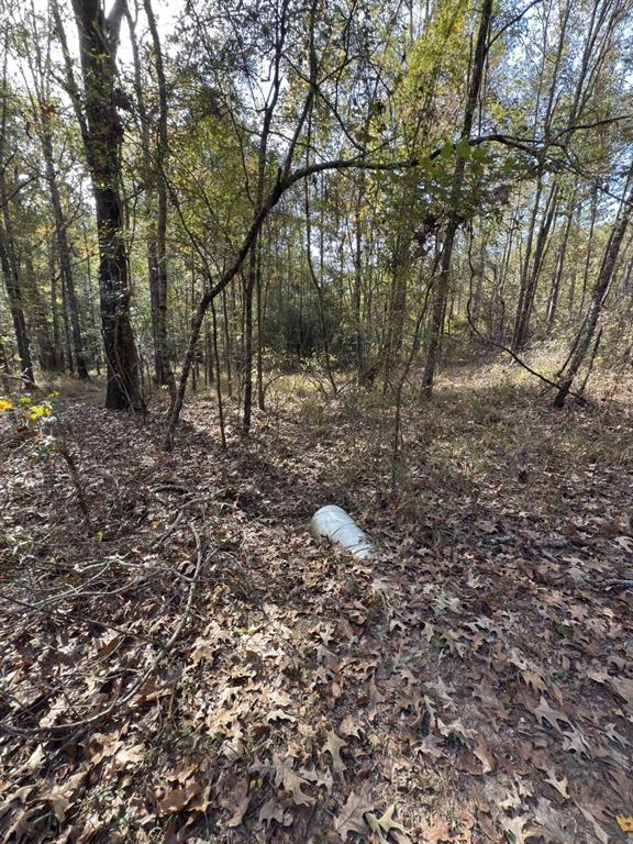 Tbd-a Boggy Road Property Photo 14