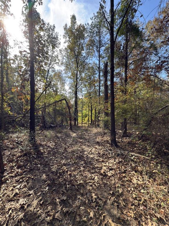 Tbd-a Boggy Road Property Photo 15