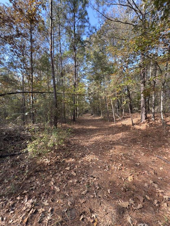 Tbd-a Boggy Road Property Photo 16
