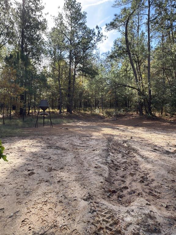 Tbd-a Boggy Road Property Photo 17