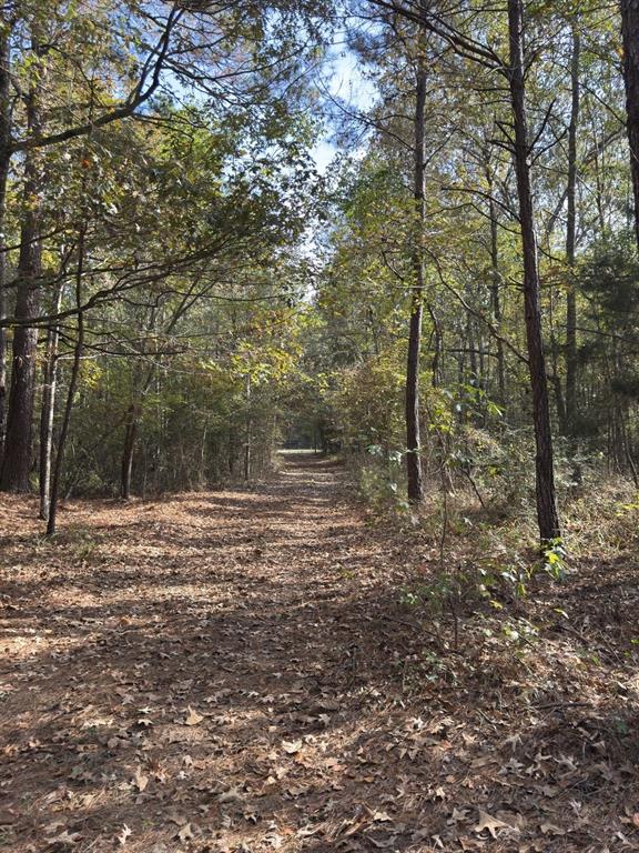 Tbd-a Boggy Road Property Photo 18