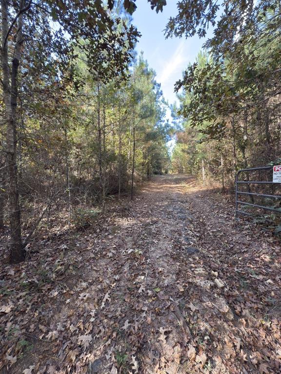 Tbd-a Boggy Road Property Photo 20