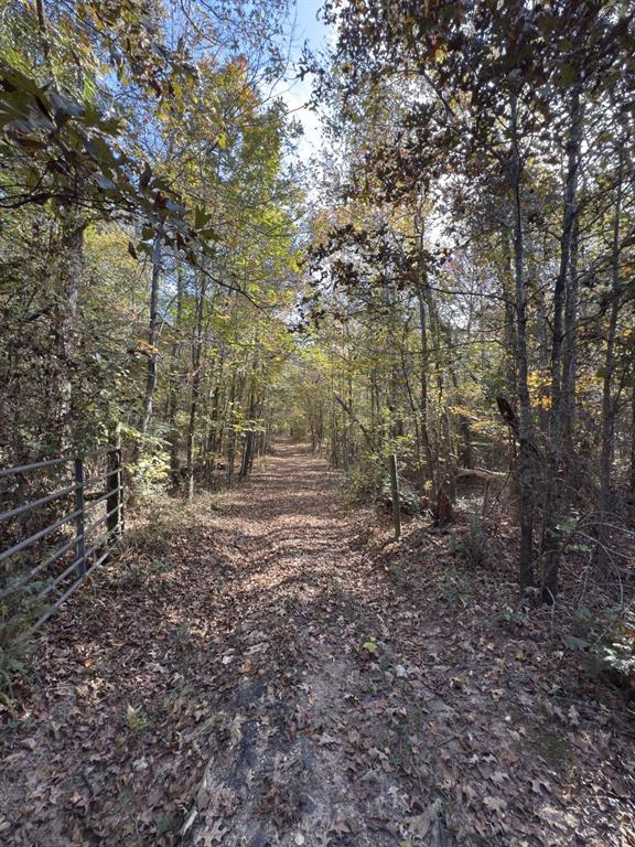 Tbd-a Boggy Road Property Photo 21