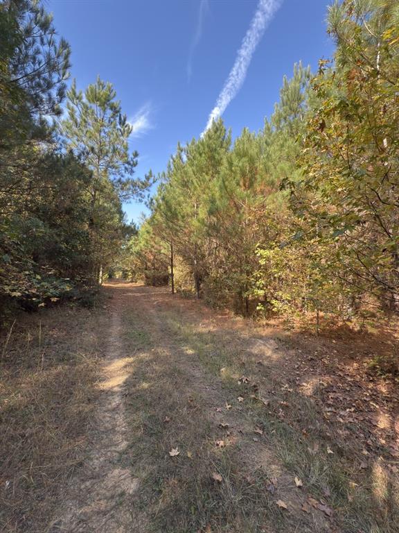 Tbd-a Boggy Road Property Photo 22