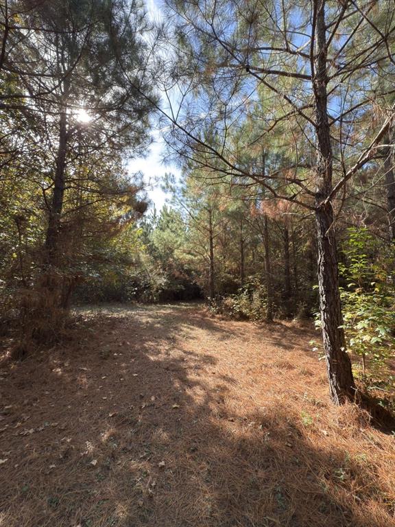 Tbd-a Boggy Road Property Photo 23