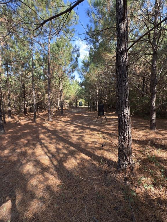 Tbd-a Boggy Road Property Photo 27