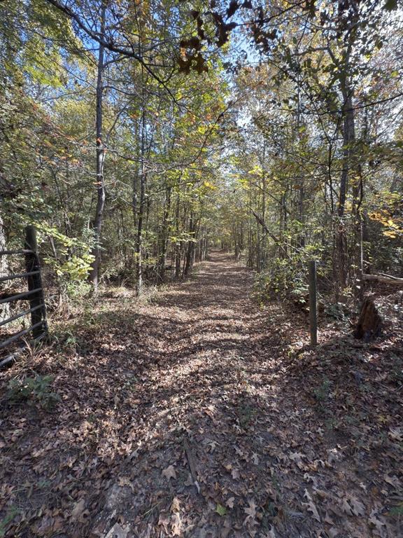 Tbd-a Boggy Road Property Photo 28