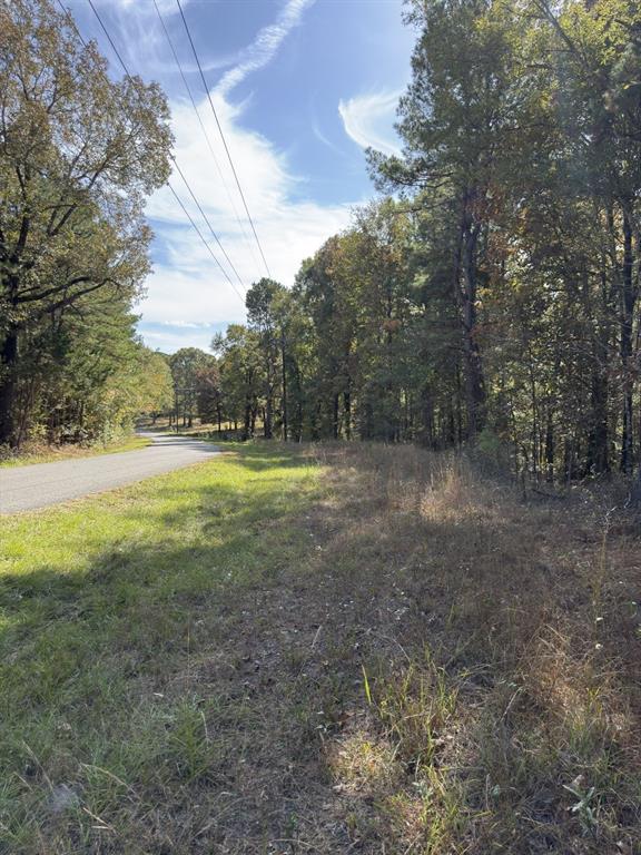 Tbd-a Boggy Road Property Photo 29