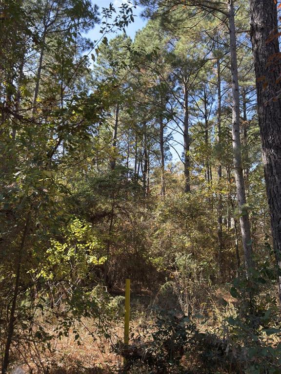 Tbd-a Boggy Road Property Photo 31