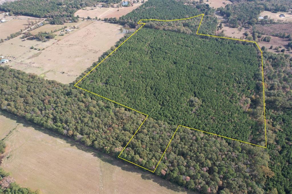 Tbd-a Boggy Road Property Photo 32