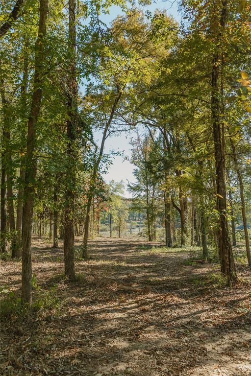 Lot 15 Private Road 5948 Property Photo 6