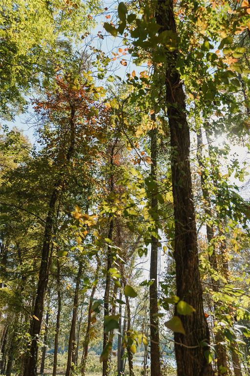 Lot 15 Private Road 5948 Property Photo 7