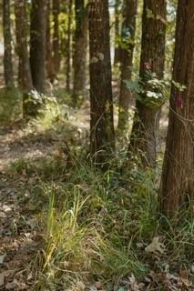 Lot 15 Private Road 5948 Property Photo 9