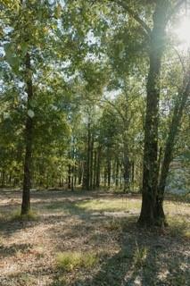Lot 15 Private Road 5948 Property Photo 11
