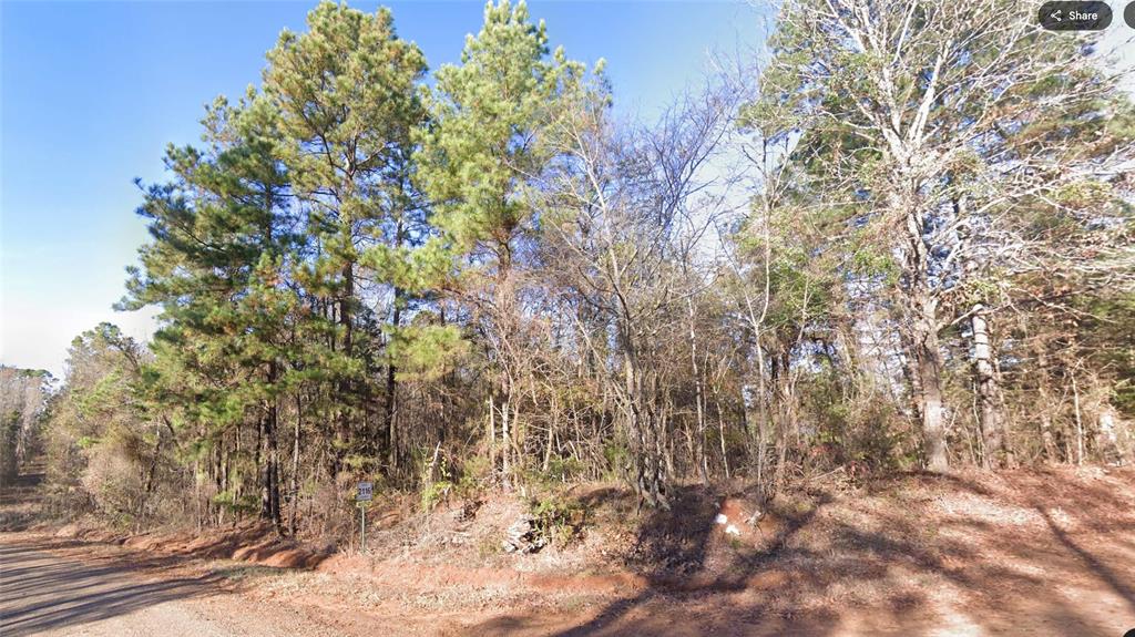 0 Co Rd 2117 Property Photo 2