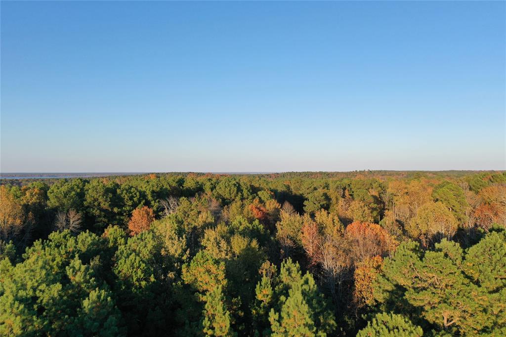 0 Co Rd 2117 Property Photo 5