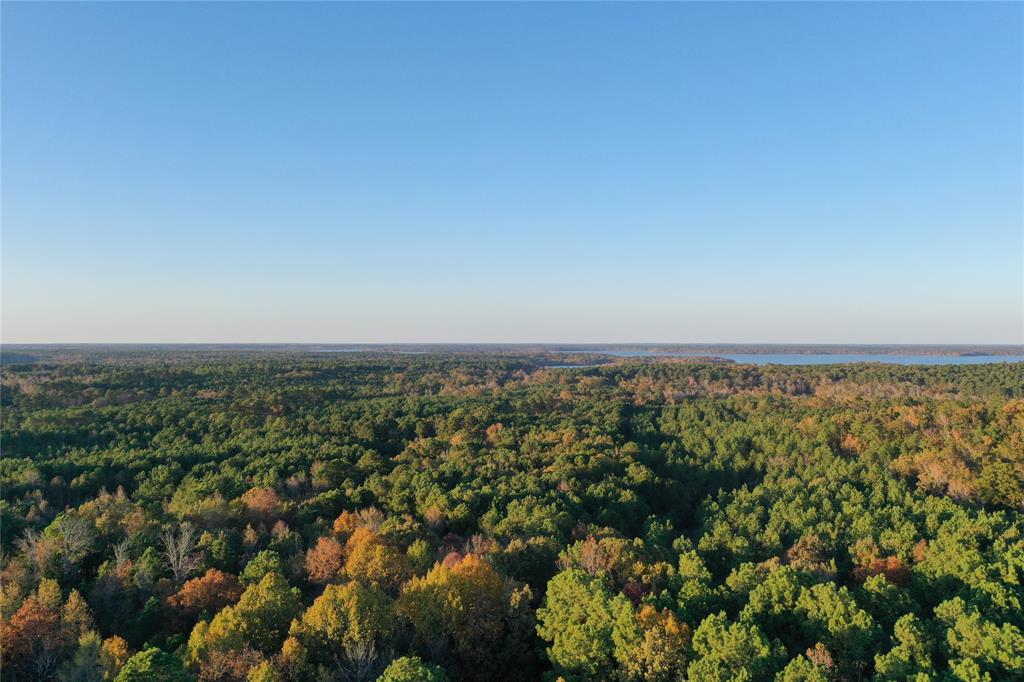 0 Co Rd 2117 Property Photo 9