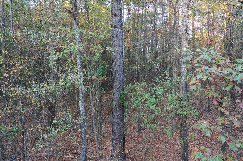 0 Co Rd 2117 Property Photo 16