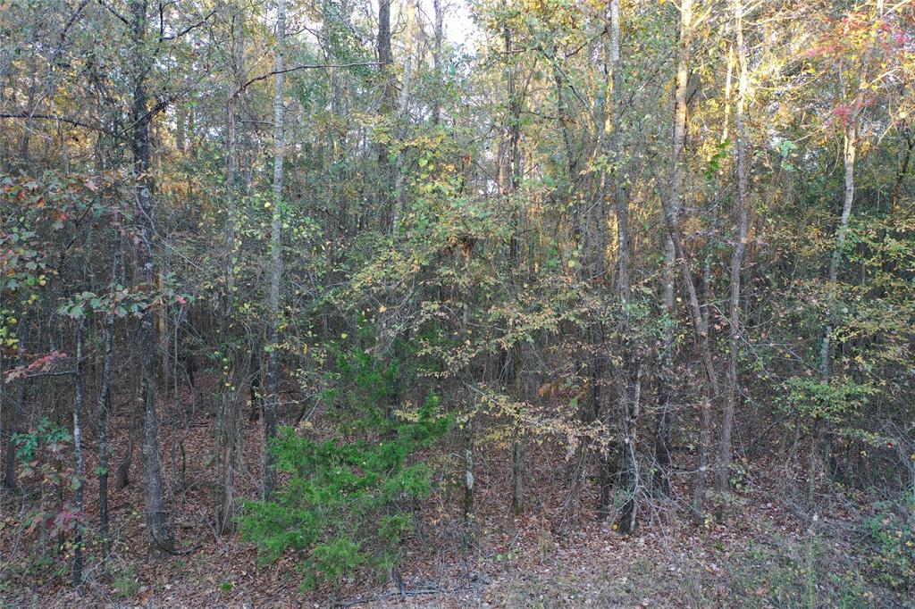 0 Co Rd 2117 Property Photo 17