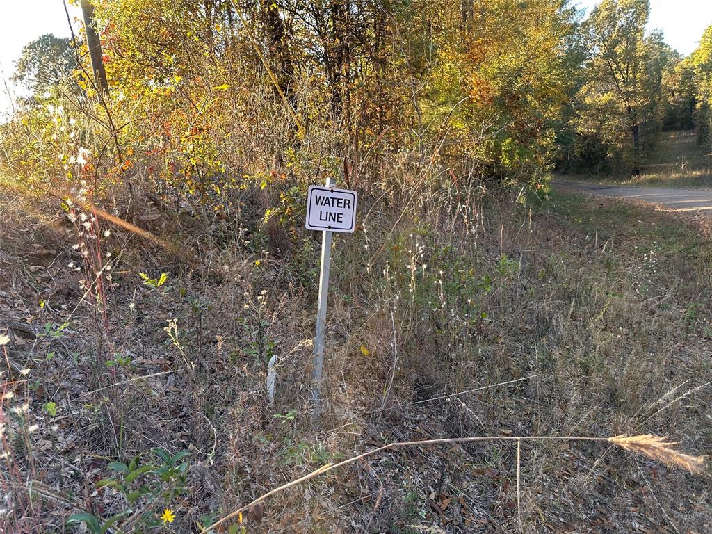 0 Co Rd 2117 Property Photo 27