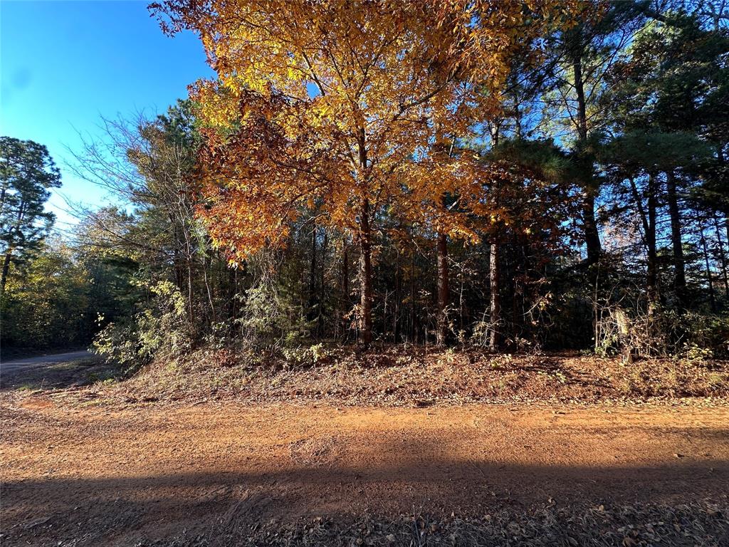 0 Co Rd 2117 Property Photo 32