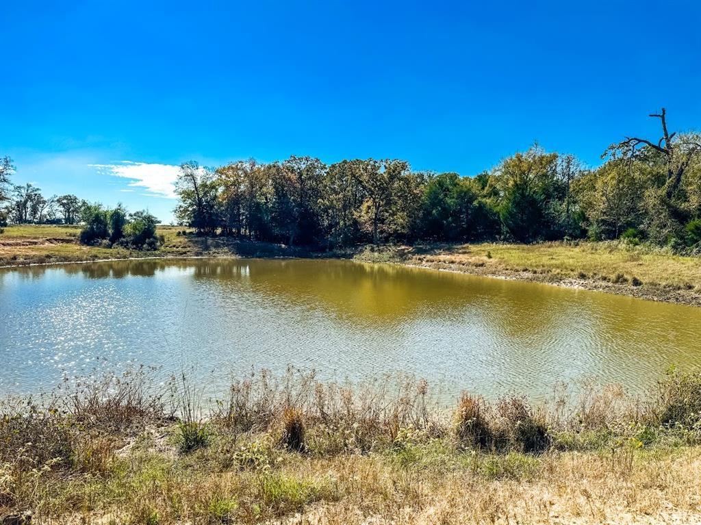 0000 Cr 781 Property Photo 10