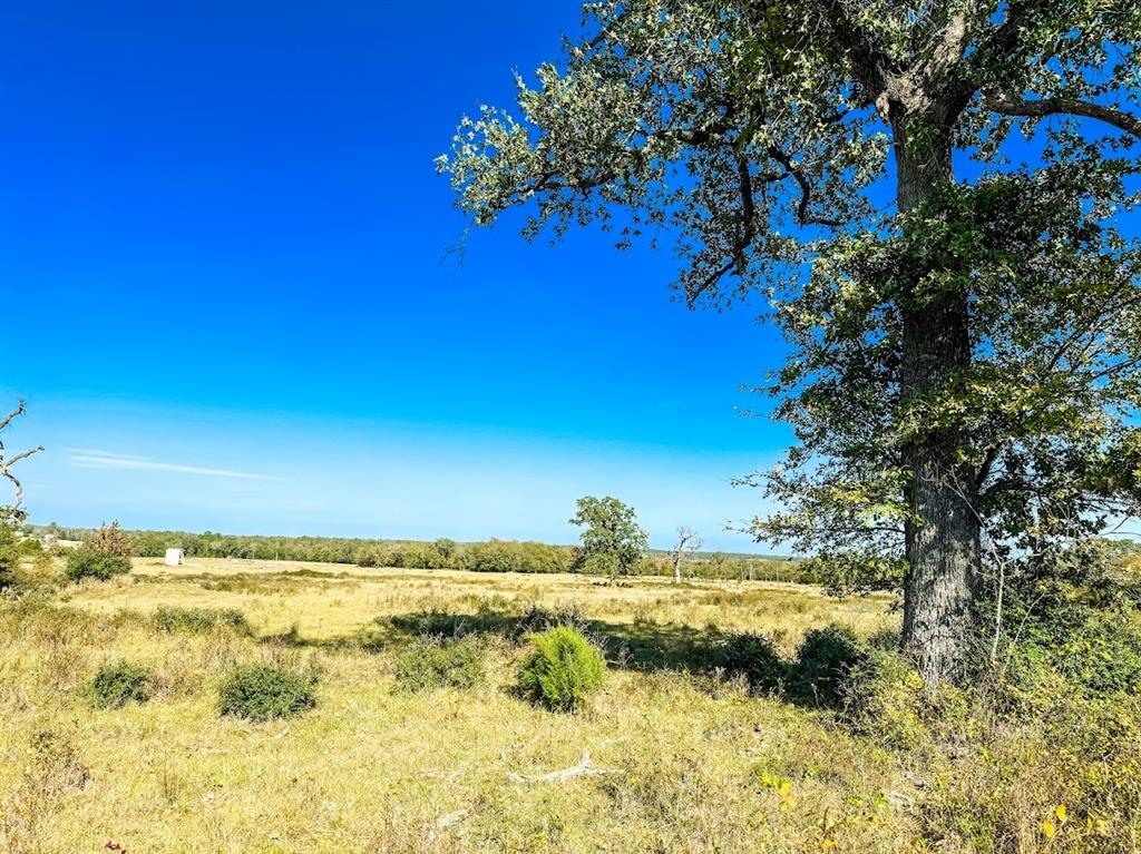 0000 Cr 781 Property Photo 15