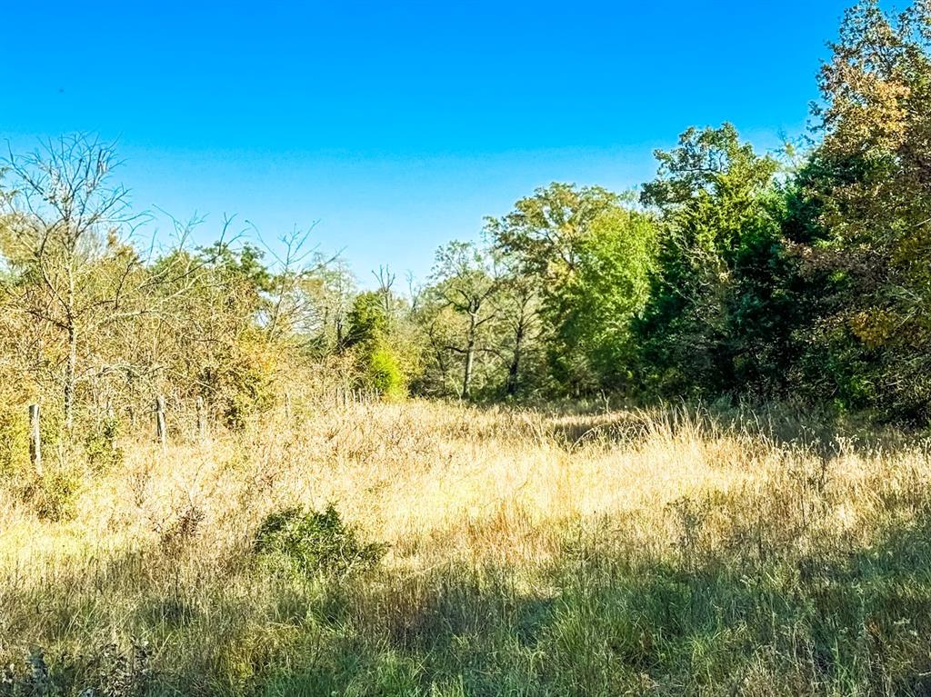 0000 Cr 781 Property Photo 16