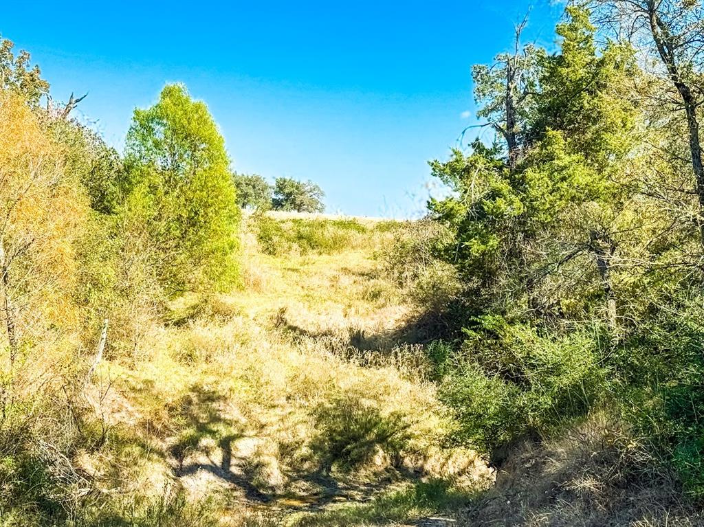 0000 Cr 781 Property Photo 17
