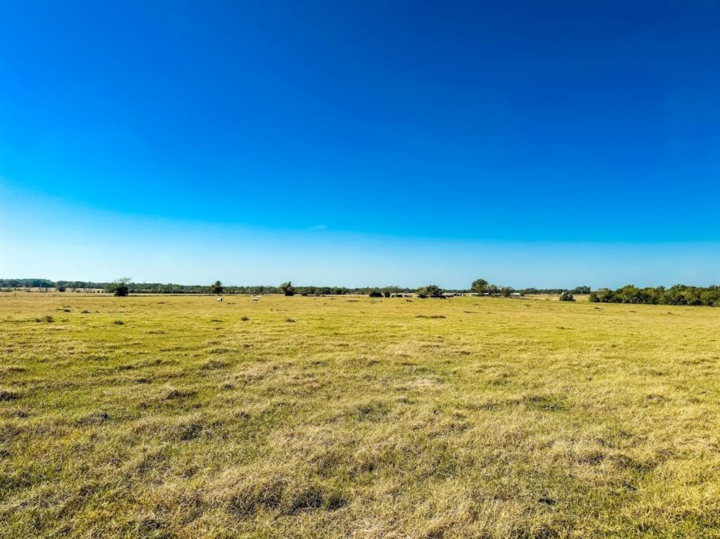 0000 Cr 781 Property Photo 19