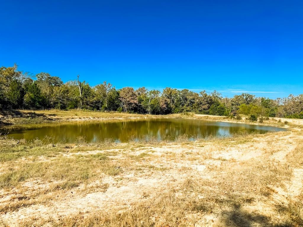 0000 Cr 781 Property Photo 21