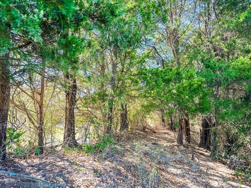 0000 Cr 781 Property Photo 22