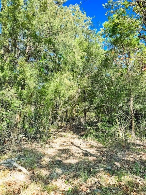 0000 Cr 781 Property Photo 23
