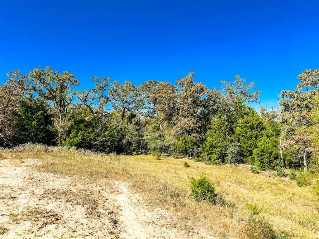 0000 Cr 781 Property Photo 25