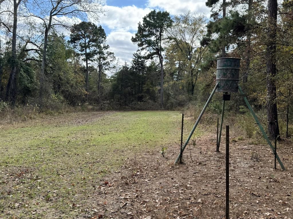 Tbd Stag Road Property Photo 11