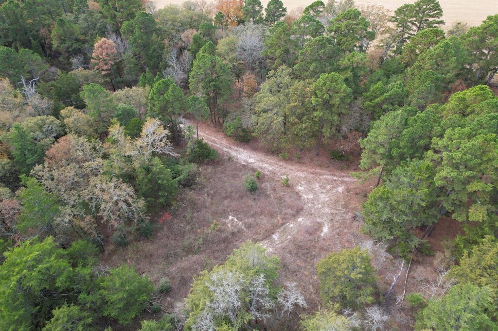 Tbd Stag Road Property Photo 18