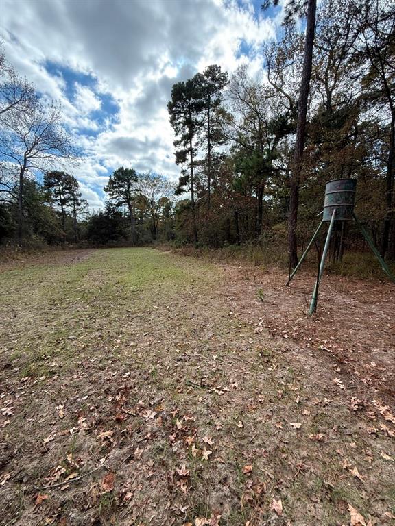 Tbd Stag Road Property Photo 30