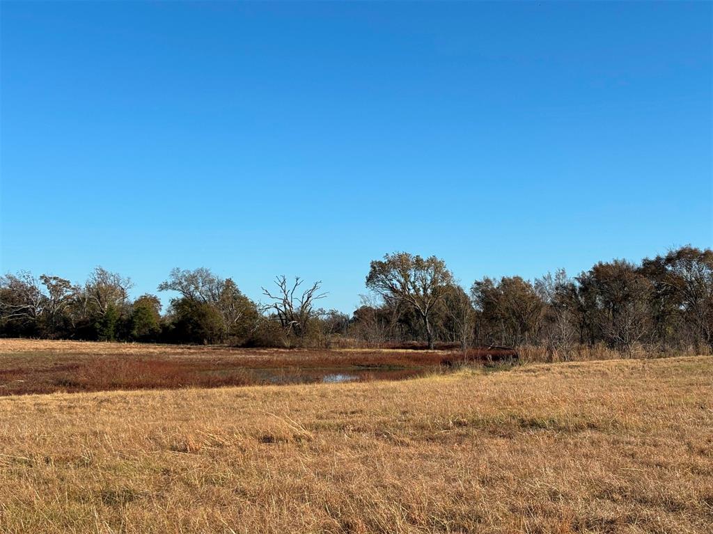 000 Fm 1653 Property Photo 5