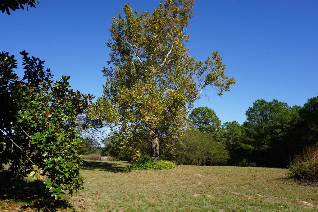 4301 Plainview Road Property Photo 7