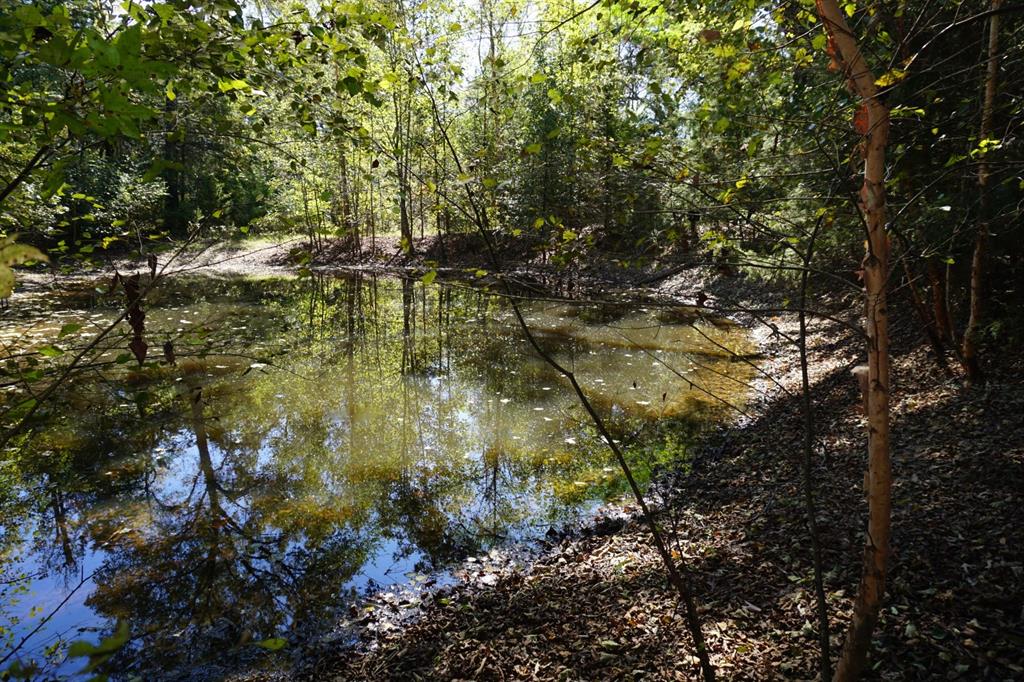 4301 Plainview Road Property Photo 12