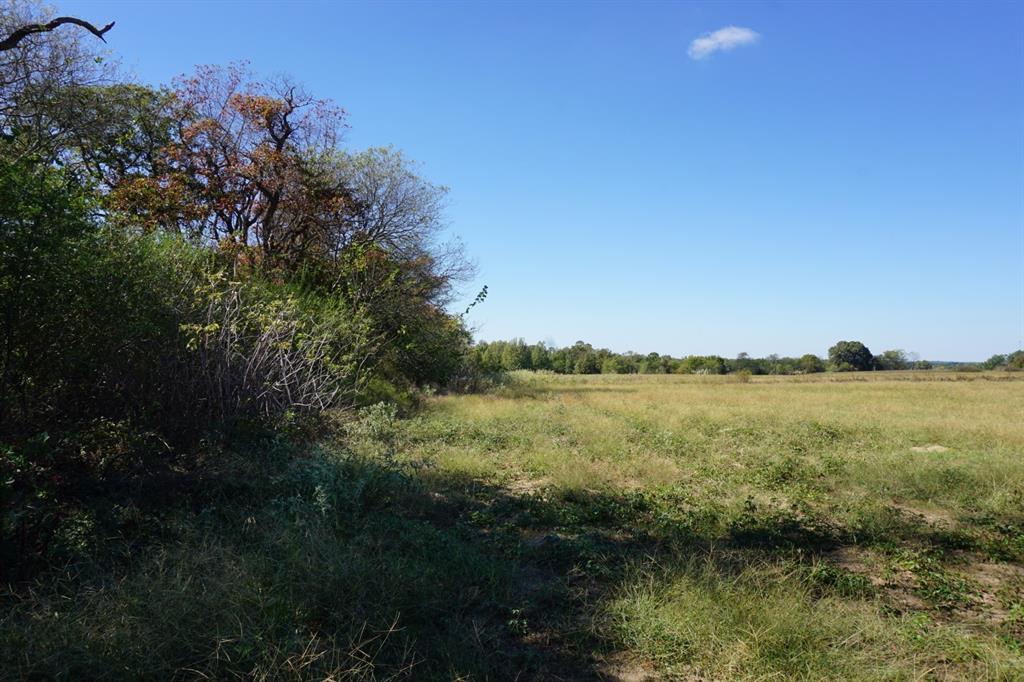 4301 Plainview Road Property Photo 15
