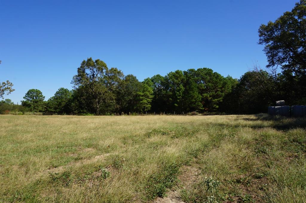 4301 Plainview Road Property Photo 17