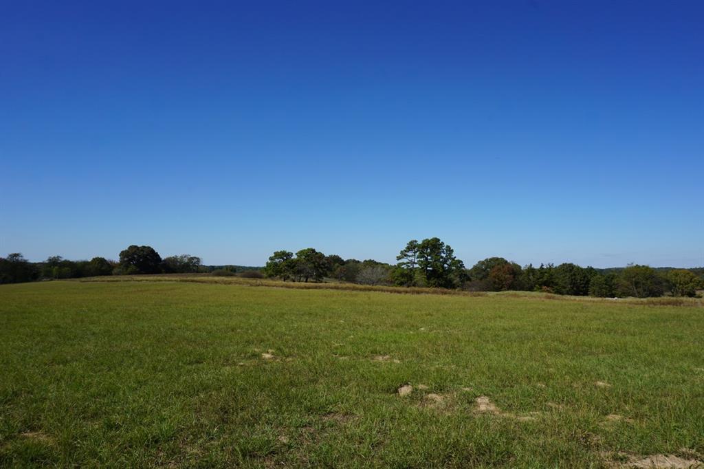 4301 Plainview Road Property Photo 21