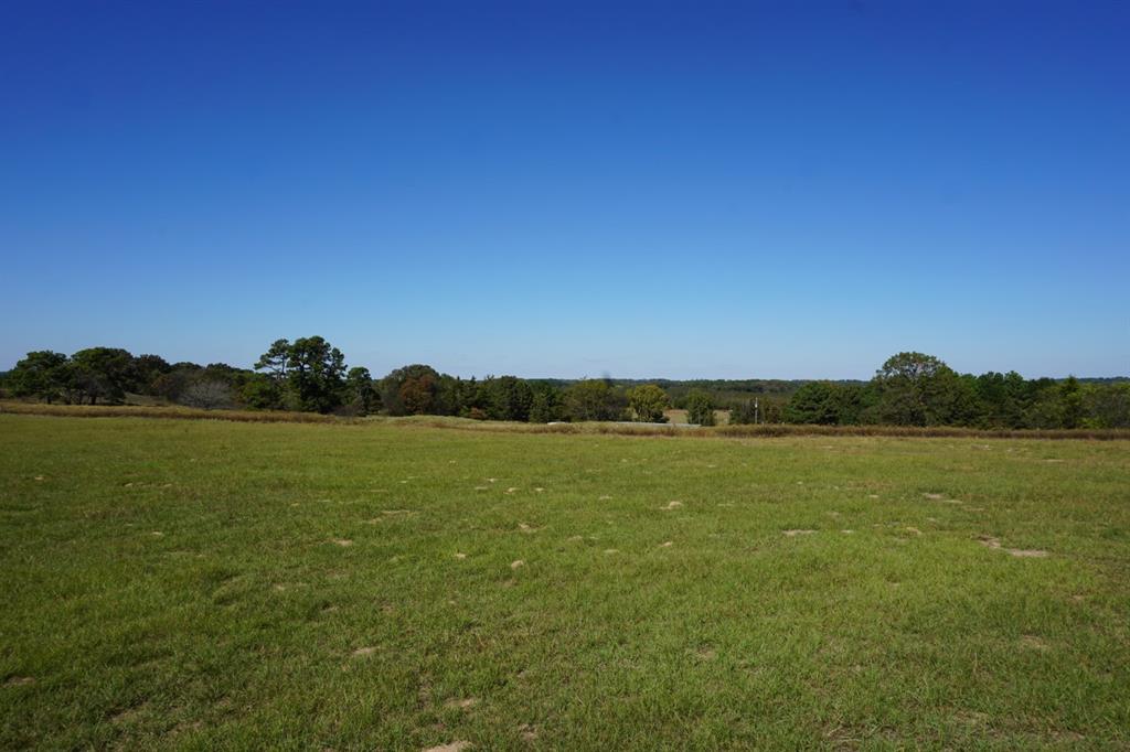 4301 Plainview Road Property Photo 23