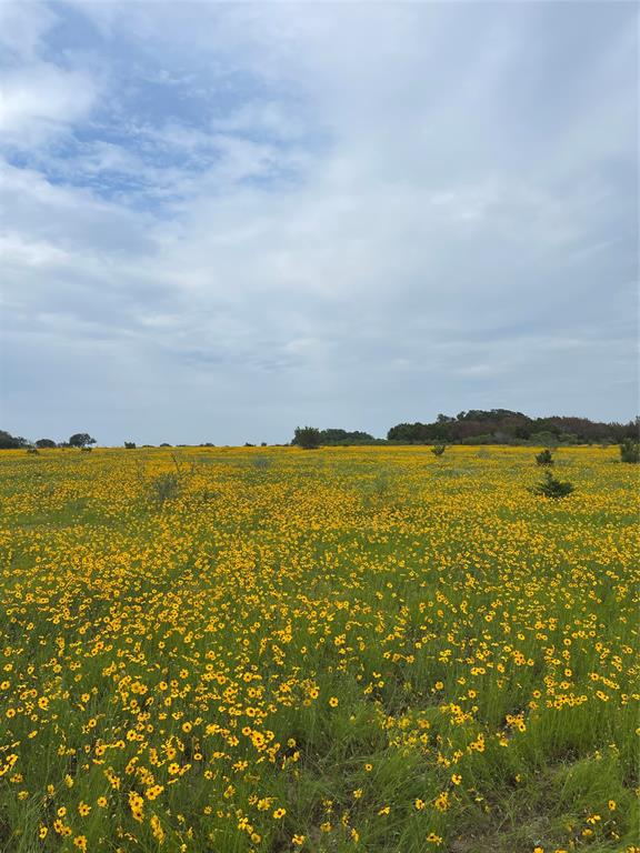 0000 Bison Ridge Drive Lot 155 Property Photo 1