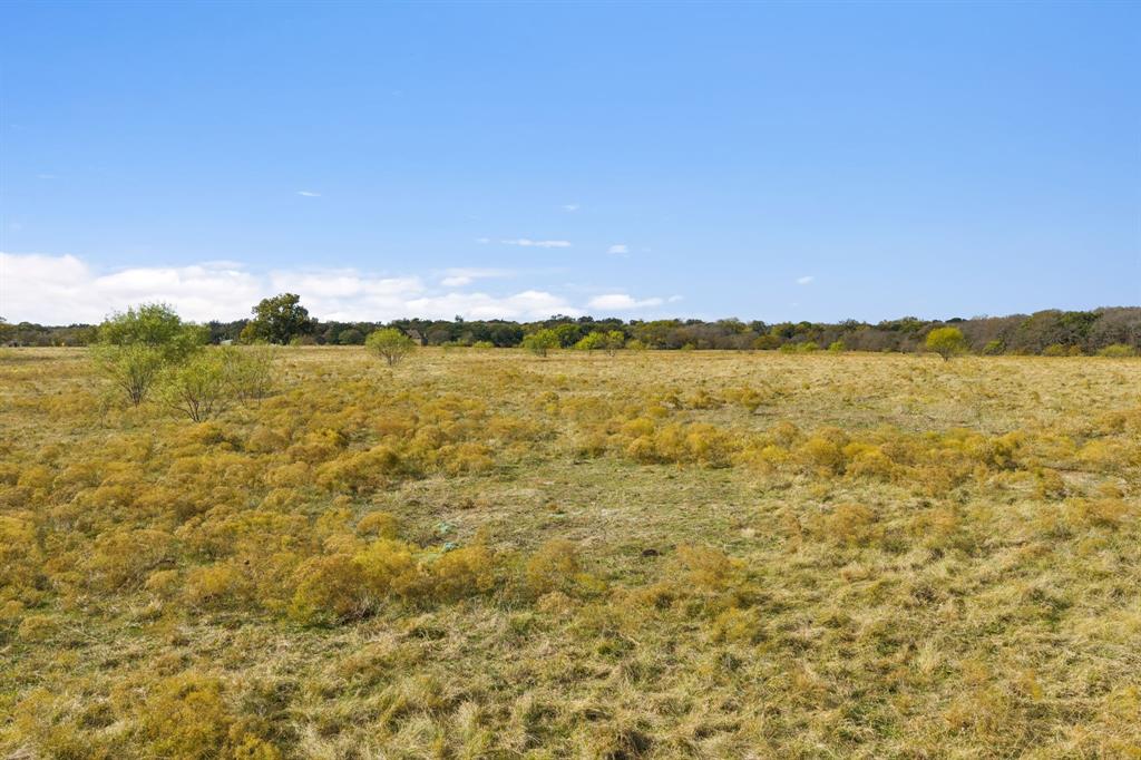 10127 Fm 1385 Property Photo 6