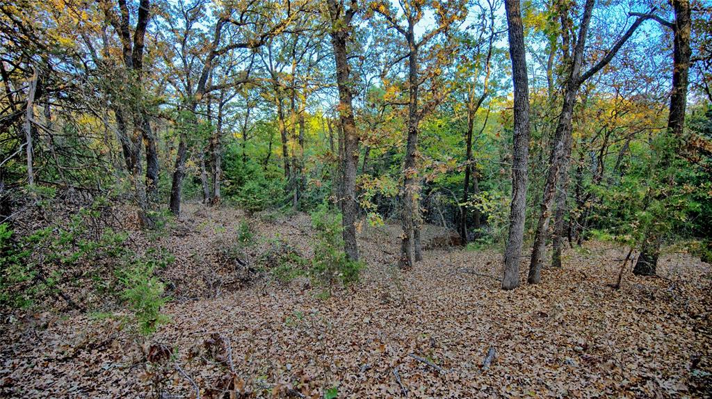 Tbd Fm 373 Property Photo 8
