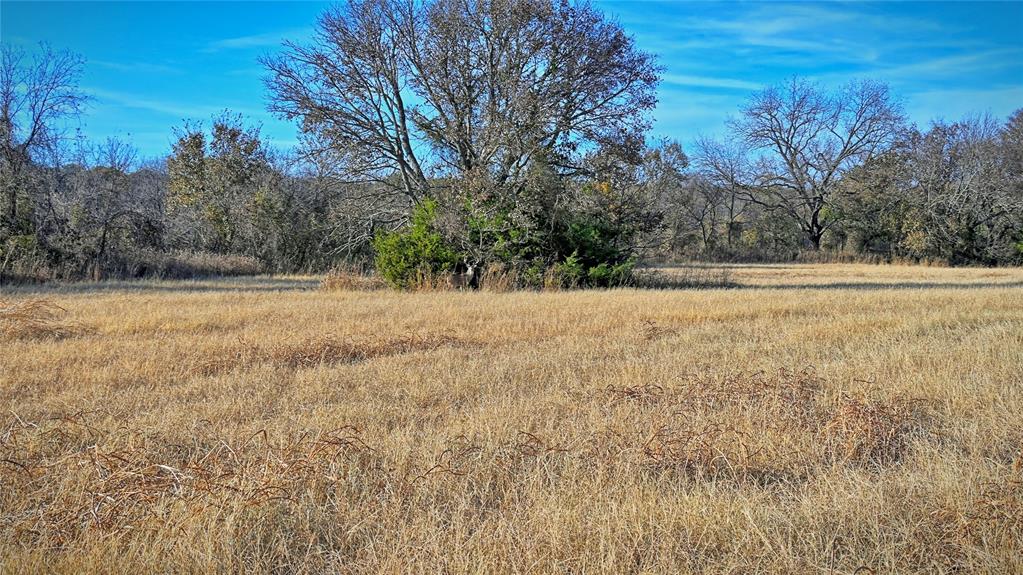 Tbd Fm 373 Property Photo 9