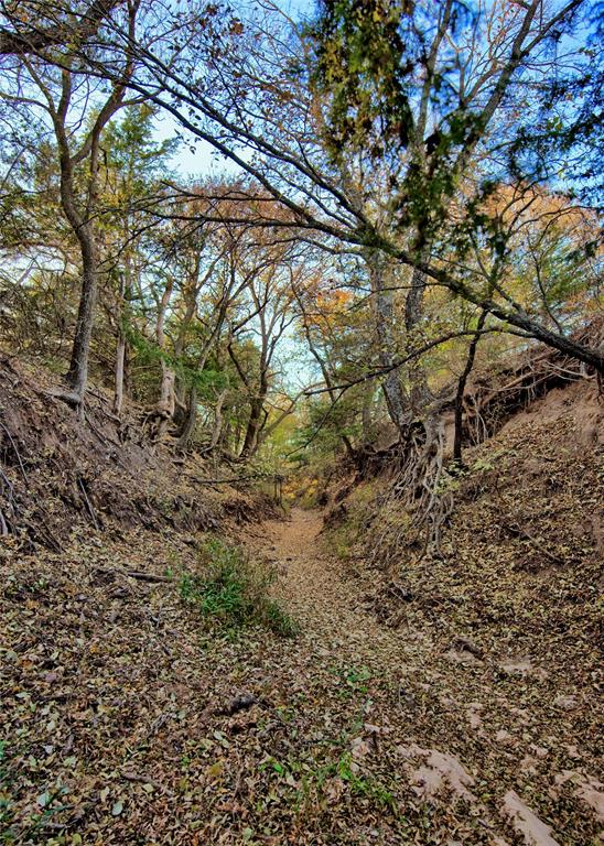 Tbd Fm 373 Property Photo 16